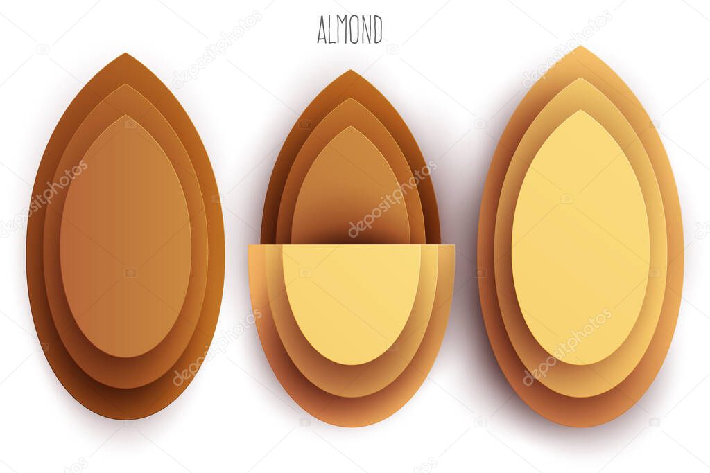 Cartoon whole and half almond in modern geometric 3d paper cut style isolated on white background. Vivid creative vector art element. Minimalistic concept of abstract design illustration.