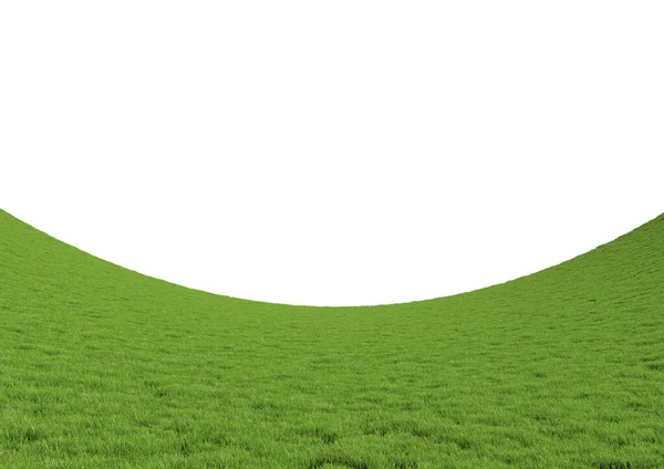 现实的弯曲绿草景观隔离在白色背景 球体空旷的全景 明亮的3D例证 — 图库照片