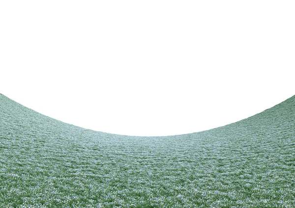现实弯曲的花田景观孤立在白色的背景 球体空旷的全景 明亮的3D例证 — 图库照片