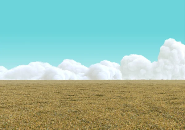 Realistyczne Puste Suche Pole Trawiaste Białymi Chmurami Błękitnym Niebie Poziome — Zdjęcie stockowe