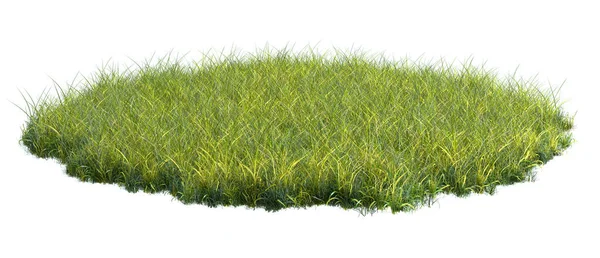 Surface Patch Covered Green Grass Isolated White Background Realistic Natural — Stock Photo, Image
