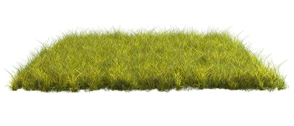 Squared Surface Patch Covered Green Grass Isolated White Background Realistic — Stock Photo, Image