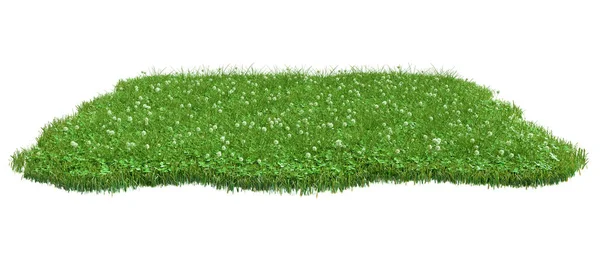 Squared Surface Patch Covered Clover Green Grass Isolated White Background — Stock Photo, Image