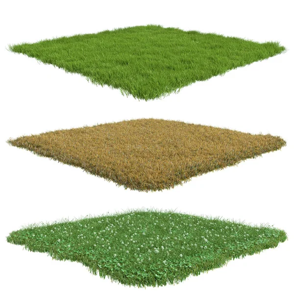 Collection Squares Surface Patch Covered Green Dry Grass Isolated White — Stock Photo, Image