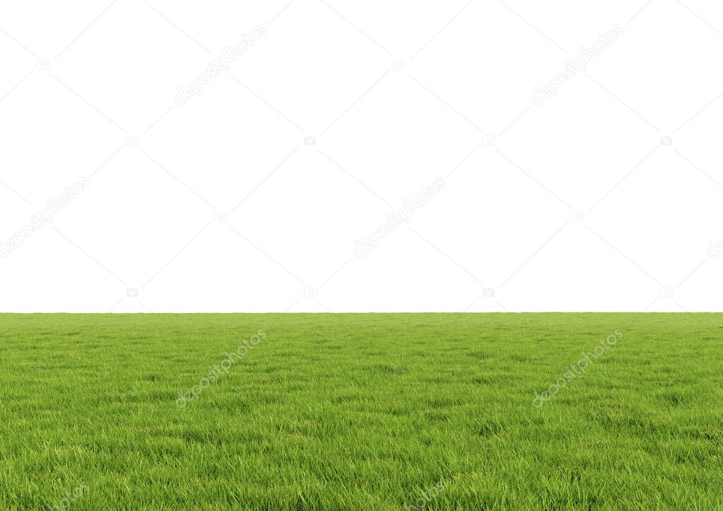 Realistic empty green grass field isolated on white background. Horizontal clean panorama. Bright 3d illustration.