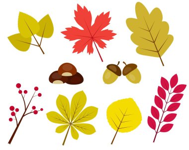 Yaprakların koleksiyonundan arka plan