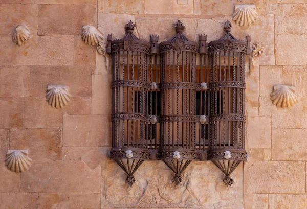 İspanya, Salamanca 'daki Casa de las Conchas' ın pencerelerindeki eski metal parmaklıkların ayrıntıları.
