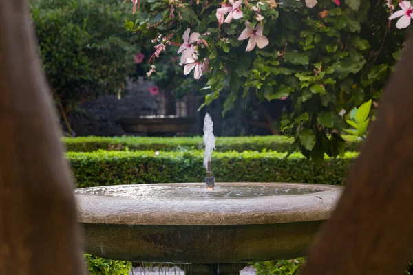 Close-up of a fountain in a garden on a sunny day framed by tree branches