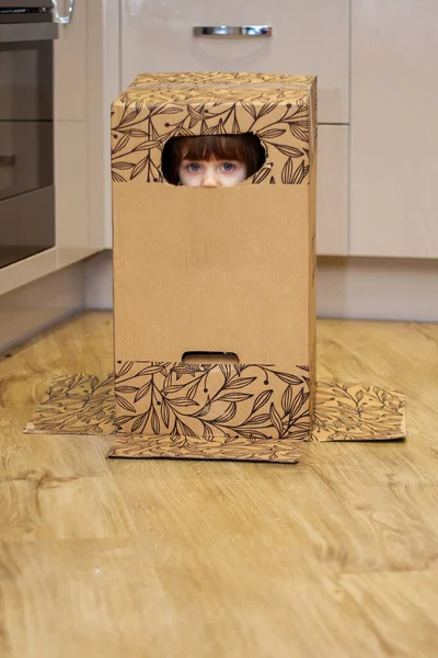 Portrait Cute Blue Eyed Baby Girl Playing Cardboard Box Hiding — Foto de Stock