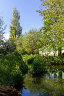Ağaçlarla çevrili Nehrin geniş açılı görüntüsü