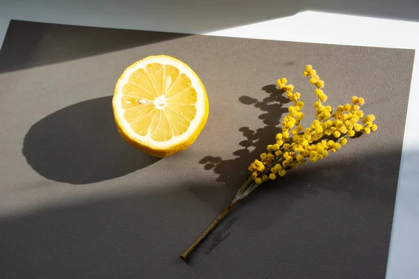 Koca bir limonun yarısı gri bir arka planda yatıyor. Gün ışığı limonla parlar