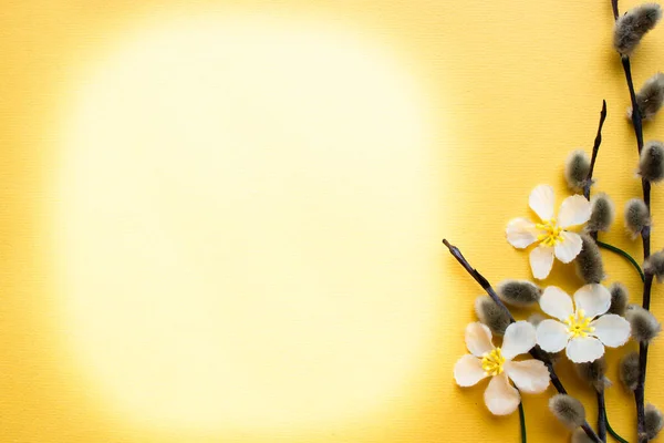 Easter poster. Egg, flowers and pussy willow branches on a light background