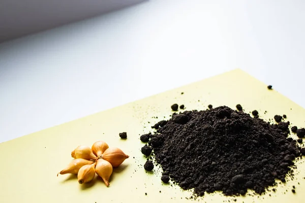 Eve soğan ekiyorum. Adım adım. Adım 2