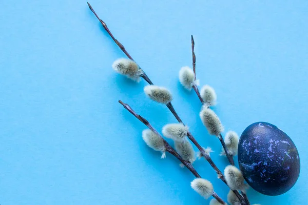 Mavi renkli Paskalya yumurtaları mavi arka planda yatar.
