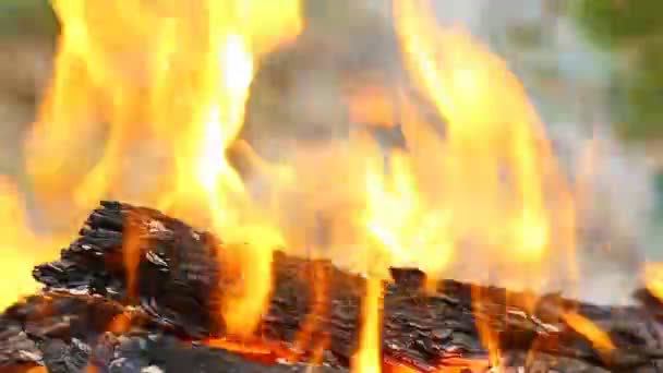 Вспышки пламени в летний день на открытом воздухе — стоковое видео