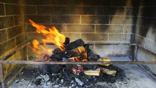 Brûler du bois dans une cheminée — Video