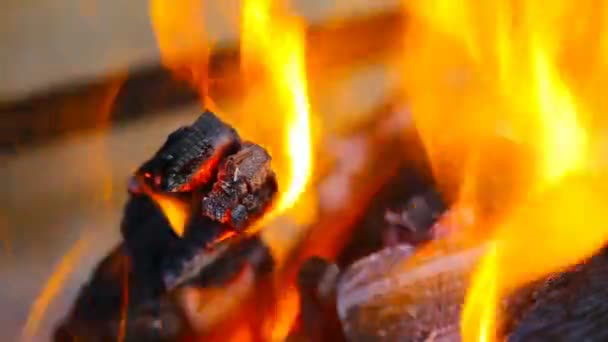 Leña quemada en una chimenea — Vídeo de stock