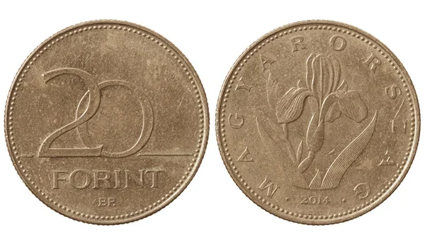 Använt Forint Ungern Moderna Nickel Mynt Isolerad Vit — Stockfoto