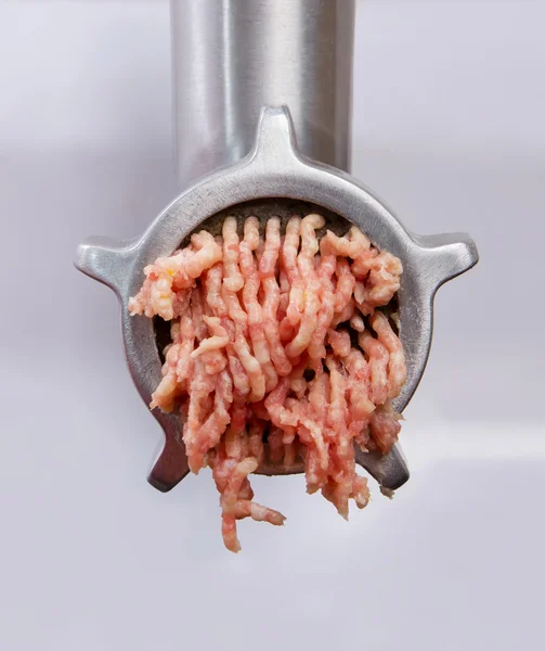 Minced meat in grinder — Stock Photo, Image