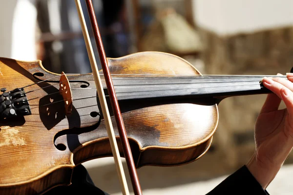 Músico, violino, close-up — Fotografia de Stock