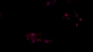 ışık soyut, sihirli parlaklık, hareket