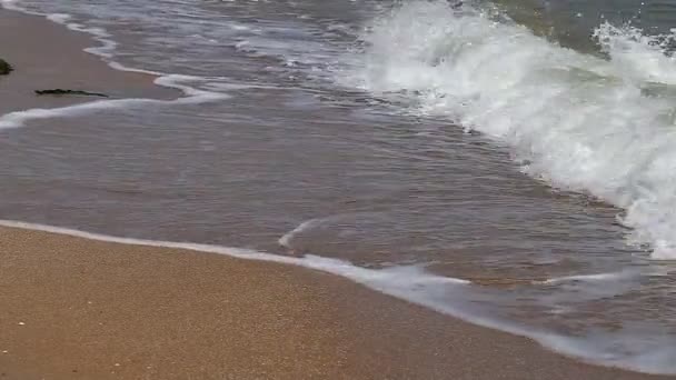 Sahil, dalgalar, köpük, deniz, okyanus, yakın çekim — Stok video