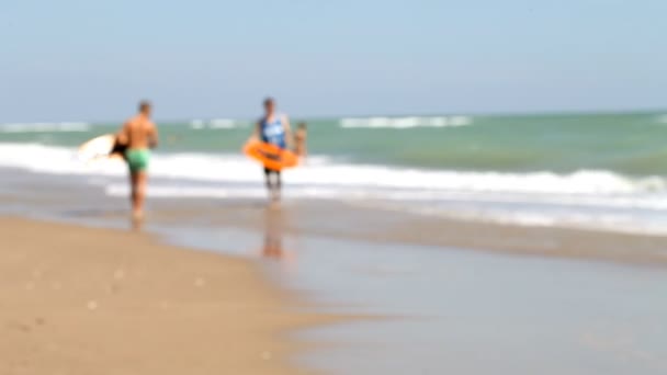 레저, Skimboarding, 해안, 스포츠, — 비디오