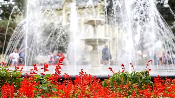 Fontein in stadspark, onscherpe achtergrond — Stockvideo