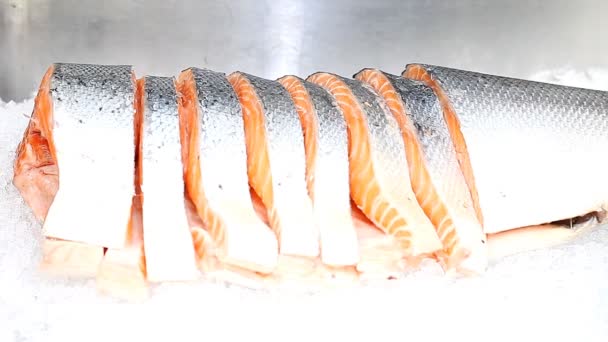 Salmón fresco en hielo en los estantes de la tienda — Vídeo de stock