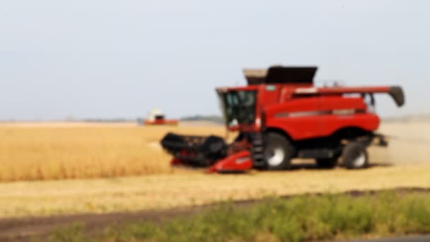 Combine-harvester removes from the field harvest — Stock Video