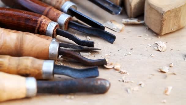 Carving, närbild, verktyg — Stockvideo