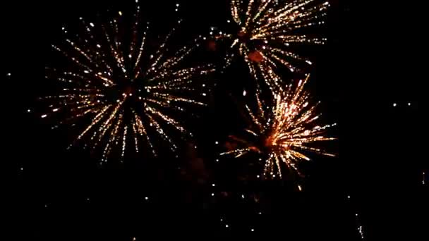 Hermosos destellos brillantes de fuegos artificiales en el cielo — Vídeos de Stock