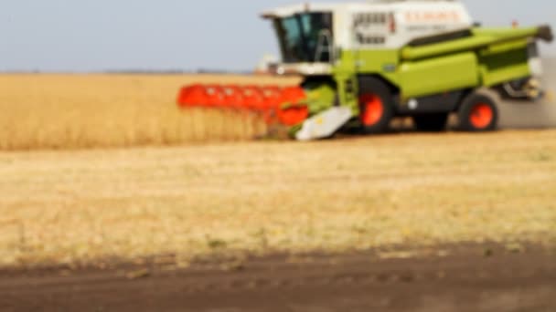 Зернозбиральний комбайн виводиться з поля врожаю — стокове відео