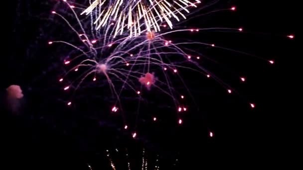 Beautiful bright flashes of fireworks in sky — Stock Video