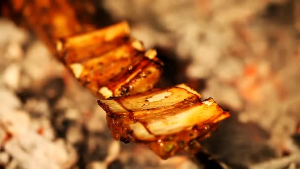 Saftige Rippenscheiben im Grill gekocht — Stockvideo