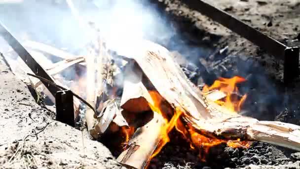 La quema de madera para generar calor para la barbacoa — Vídeo de stock