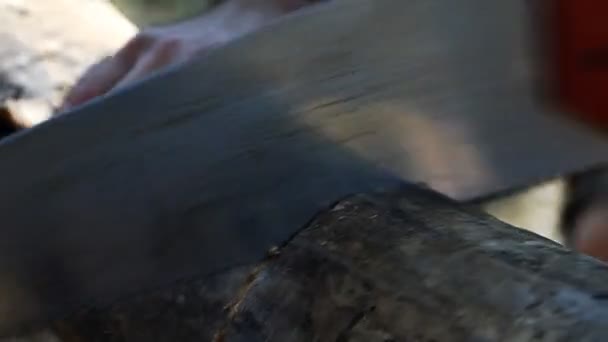 Homem serrar um log handsaw closeup — Vídeo de Stock