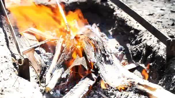 Bruciare legna per generare calore per il barbecue — Video Stock