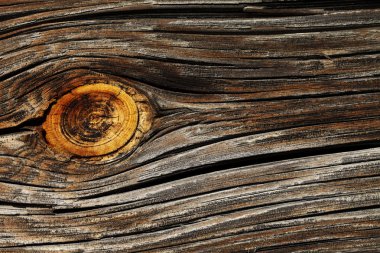 wood texture, grunge, cracked, high-resolution image clipart