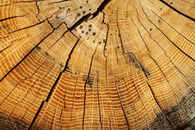 ahşap doku grunge, kırık, yüksek çözünürlüklü görüntü