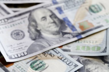 yeni yüz doları bill portre