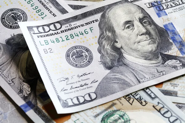 yeni yüz doları bill portre