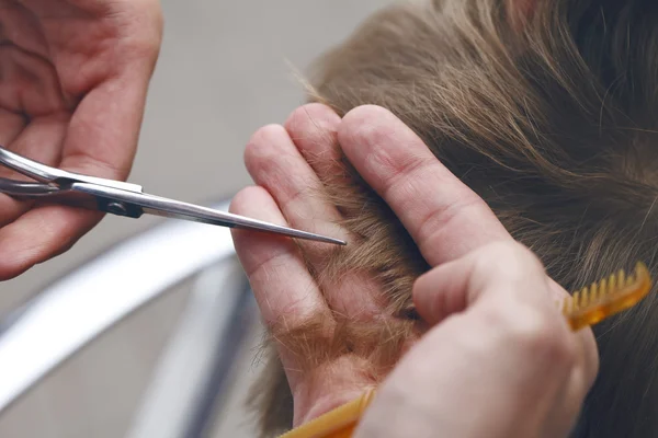 Friseurmeister beim Haarschnitt in Nahaufnahme — Stockfoto