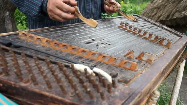 Musicista suona il vecchio dulcimer ucraino — Video Stock