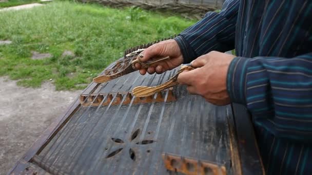 Músico toca o velho dulcimer ucraniano — Vídeo de Stock