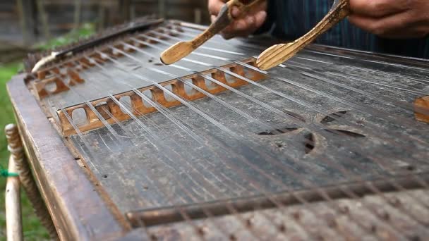 Musicien joue le vieux dulcimer ukrainien — Video