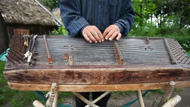 Μουσικός παίζει το παλιό Ουκρανικά-σαντούρι — Αρχείο Βίντεο