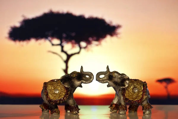 Two miniature elephant at sunset — Stock Photo, Image