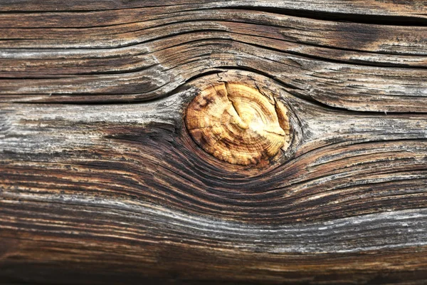 Hermosa textura de madera —  Fotos de Stock