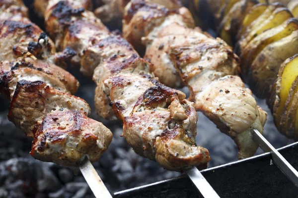 Shish kebab em espetos — Fotografia de Stock